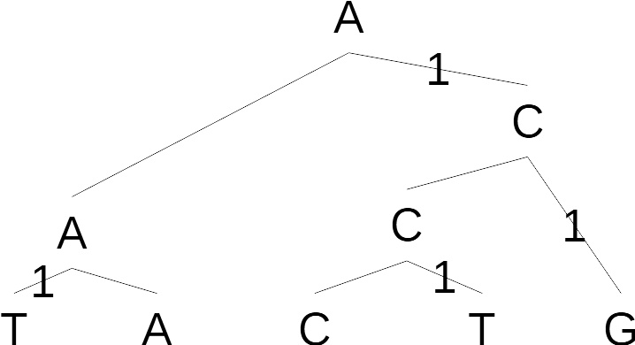 Representation of a tree that has DNA letters at the leaves and internal nodes. The number 1 is written on edges that have a different label at either end of the edge.